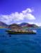 Dolphin Whale Watching Tour